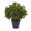 23” Peperomia Plant UV Resistant (Indoor/Outdoor) -Artificial Flowers Sale artificial 23 peperomia plant uv resistant indooroutdoor nearly natural 451314