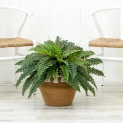 23”Artificial Boston Fern Plant In HandmadeJute & Cotton Basket With Tassels DIY KIT -Artificial Flowers Sale artificial 23artificial boston fern plant in handmade jute cotton basket with tassels diy kit plant in planter nearly natural 603414