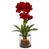 24” Amaryllis W/Vase