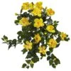 24” Hibiscus Hanging Artificial Plant (Set Of 2) -Artificial Flowers Sale artificial 24 hibiscus hanging artificial plant set of 2 nearly natural 913289