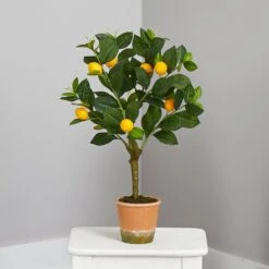 24” Lemon Artificial Tree 8 24” Lemon Artificial Tree -Artificial Flowers Sale artificial 24 lemon artificial tree nearly natural 182577