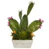 24” Mixed Cactus Succulent Artificial Plant In White Wash Planter -Artificial Flowers Sale artificial 24 mixed cactus succulent artificial plant in white wash planter nearly natural 933536