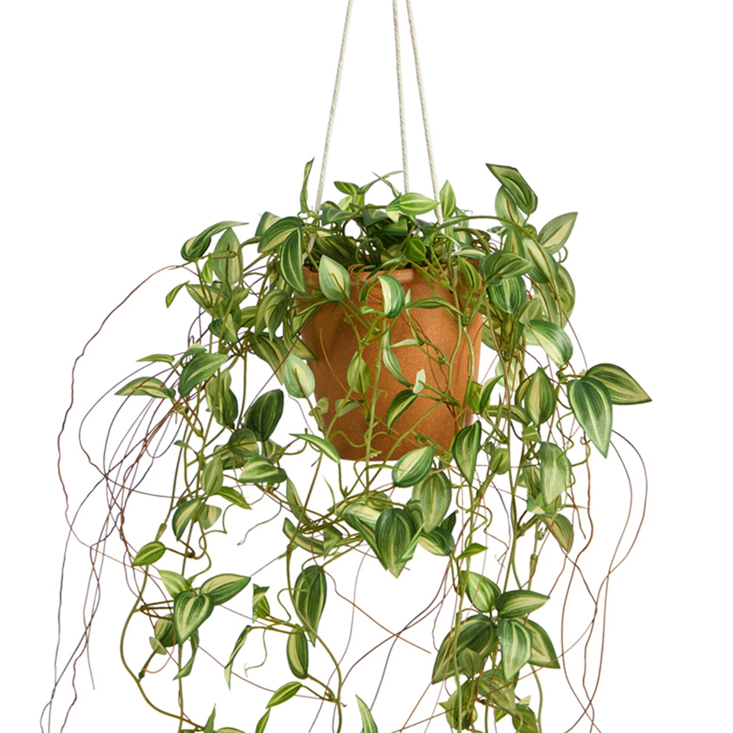 24” Pothos Artificial Plant In Hanging Planter 5 24” Pothos Artificial Plant In Hanging Planter - Image 3