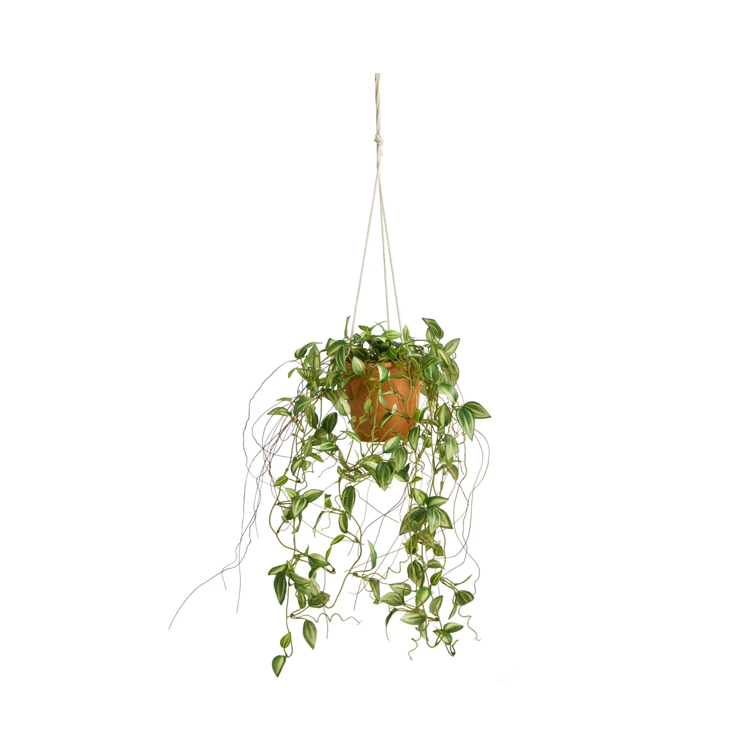 24” Pothos Artificial Plant In Hanging Planter 3 24” Pothos Artificial Plant In Hanging Planter
