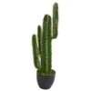 2.5’ Artificial Blue Myrtle Cactus Plant -Artificial Flowers Sale artificial 25 artificial cactus plant nearly natural 905961