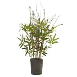 27” Bamboo Tree W/Cement Pot