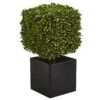 27” Boxwood Artificial Plant In Black Planter (indoor/Outdoor) -Artificial Flowers Sale artificial 27 boxwood artificial plant in black planter indooroutdoor nearly natural 389465