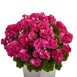 27” Geranium Artificial Plant In White Planter UV Resistant (Indoor/Outdoor) -Artificial Flowers Sale artificial 27 geranium artificial plant in white planter uv resistant indooroutdoor nearly natural 844166