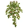 27” Variegated Holly Leaf W/Berries Hanging Bush Artificial Plant (Set Of 3) (Real Touch) 1 27” Variegated Holly Leaf W/Berries Hanging Bush Artificial Plant (Set Of 3) (Real Touch) -Artificial Flowers Sale artificial 27 variegated holly leaf wberries hanging bush artificial plant set of 3 real touch nearly natural 492579