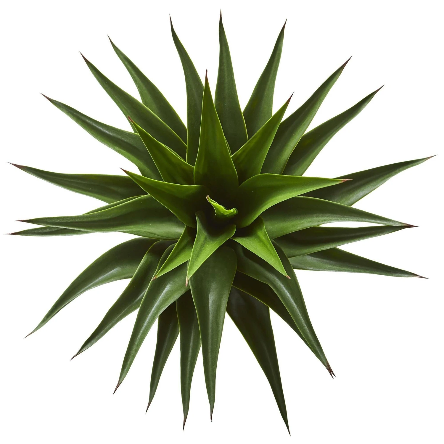 28” Agave Artificial Plant 4 28” Agave Artificial Plant - Image 2