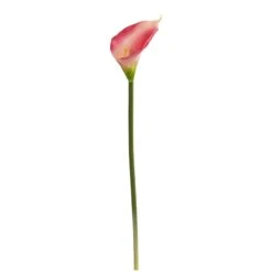 28” Calla Lily Artificial Flower (Set Of 12) -Artificial Flowers Sale artificial 28 calla lily artificial flower set of 12 nearly natural 801500
