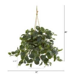 28” Fittonia Artificial Plant In Hanging Metal Bucket 5 28” Fittonia Artificial Plant In Hanging Metal Bucket -Artificial Flowers Sale artificial 28 fittonia artificial plant in hanging metal bucket nearly natural 597487