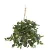 28” Fittonia Artificial Plant In Hanging Metal Bucket -Artificial Flowers Sale artificial 28 fittonia artificial plant in hanging metal bucket nearly natural 835503