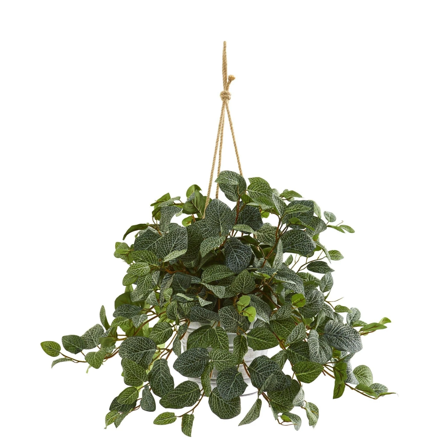 28” Fittonia Artificial Plant In Hanging Metal Bucket 3 28” Fittonia Artificial Plant In Hanging Metal Bucket