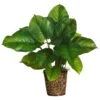 29" Large Leaf Philodendron Silk Plant (Real Touch)" 1 29" Large Leaf Philodendron Silk Plant (Real Touch)" -Artificial Flowers Sale artificial 29 large leaf philodendron silk plant real touch nearly natural 608212