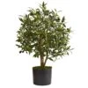 2' Olive Artificial Tree -Artificial Flowers Sale artificial 29 olive artificial tree nearly natural 909480