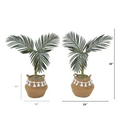 3' Artificial Golden Cane Palm Tree With Handmade Jute & Cotton Basket With Tassels DIY KIT - Set Of 2 -Artificial Flowers Sale artificial 3 artificial golden cane palm tree with handmade jute cotton basket with tassels diy kit set of 2 plant in planter nearly natural 476239
