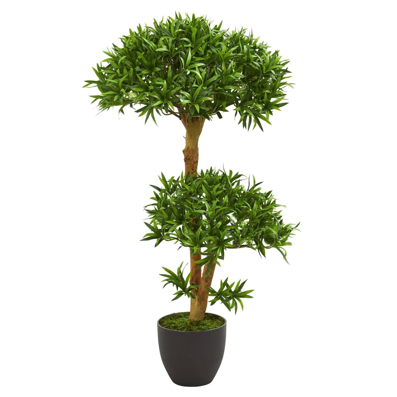 3’ Bonsai Styled Podocarpus Artificial Tree 3 3’ Bonsai Styled Podocarpus Artificial Tree