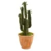 3’ Cactus Artificial Plant In Terra Cotta Planter -Artificial Flowers Sale artificial 3 cactus artificial plant in terra cotta planter nearly natural 709806