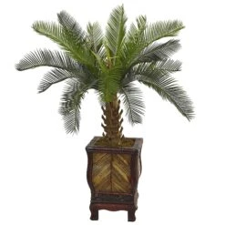 3’ Cycas Tree In Wood Planter
