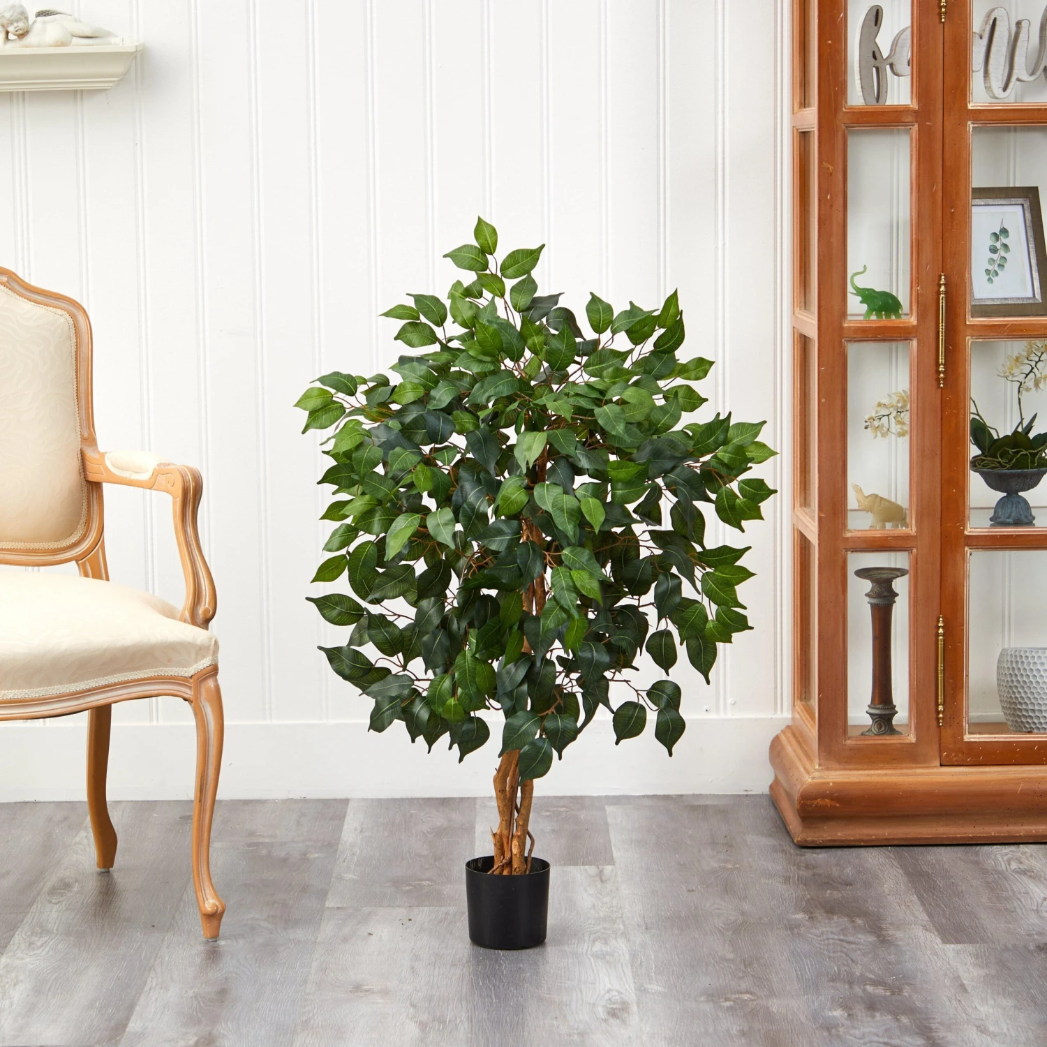 3' Ficus Silk Tree 5 3' Ficus Silk Tree - Image 3