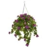 3’ Mixed Stephanotis And Bougainvillea Artificial Plant In Hanging Cone -Artificial Flowers Sale artificial 3 mixed stephanotis and bougainvillea artificial plant in hanging cone nearly natural 944486
