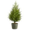 3’ Norfolk Island Pine “Natural Look” Artificial Christmas Tree In Decorative Planter 2 3’ Norfolk Island Pine “Natural Look” Artificial Christmas Tree In Decorative Planter -Artificial Flowers Sale artificial 3 norfolk island pine natural look artificial tree in decorative planter nearly natural 862679