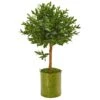 3’ Olive Topiary Artificial Tree In Green Planter (Indoor/Outdoor) -Artificial Flowers Sale artificial 3 olive topiary artificial tree in green planter uv resistant indooroutdoor nearly natural 407817
