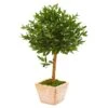 3’ Olive Topiary Artificial Tree In Terra Cotta Planter(Indoor/Outdoor) -Artificial Flowers Sale artificial 3 olive topiary artificial tree in terra cotta planter uv resistant indooroutdoor nearly natural 805799