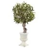 3’ Olive Tree In White Urn -Artificial Flowers Sale artificial 3 olive tree in white urn nearly natural 611601