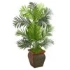 3’ Paradise Palm Artificial Tree In Decorative Planter 1 3’ Paradise Palm Artificial Tree In Decorative Planter -Artificial Flowers Sale artificial 3 paradise palm artificial tree in decorative planter nearly natural 104483