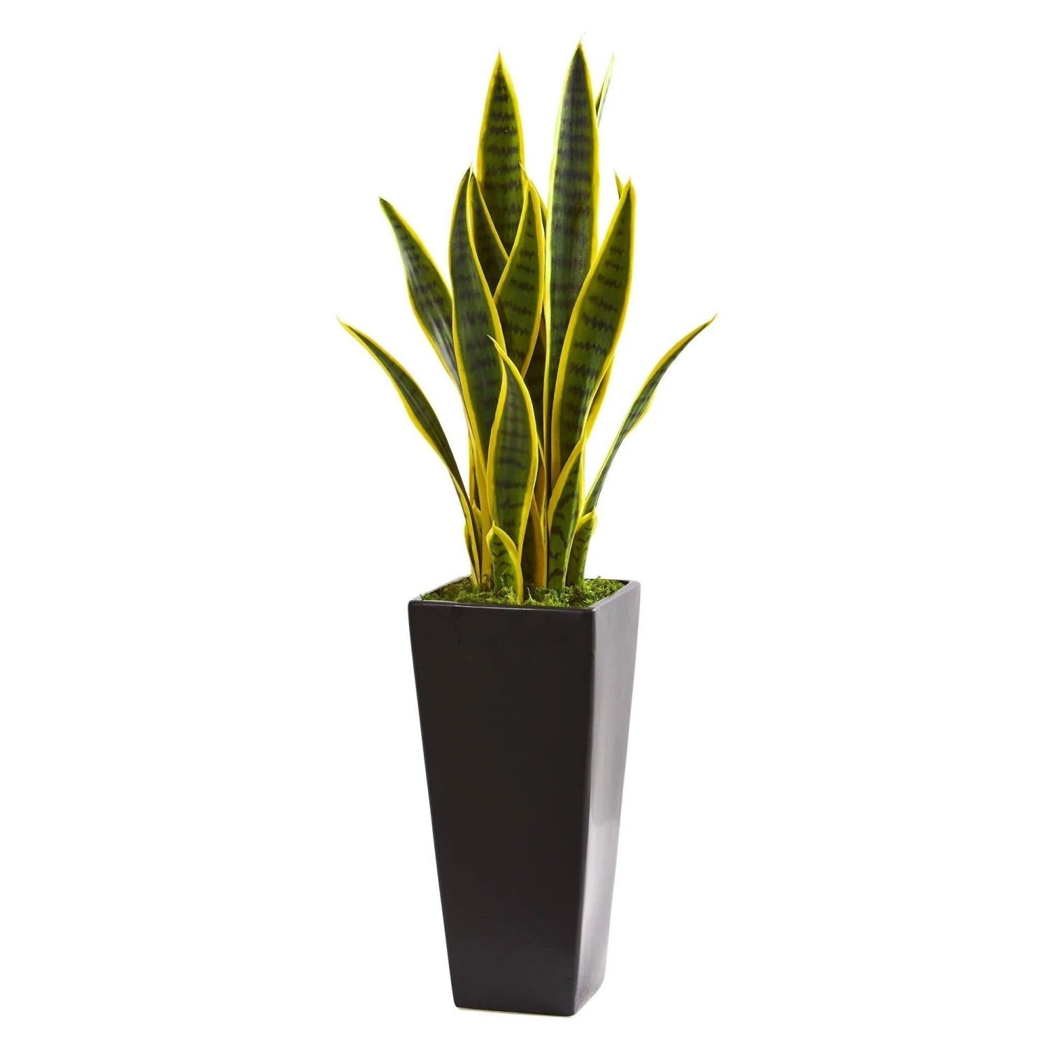 3’ Sansevieria Artificial Plant In Black Planter 3 3’ Sansevieria Artificial Plant In Black Planter