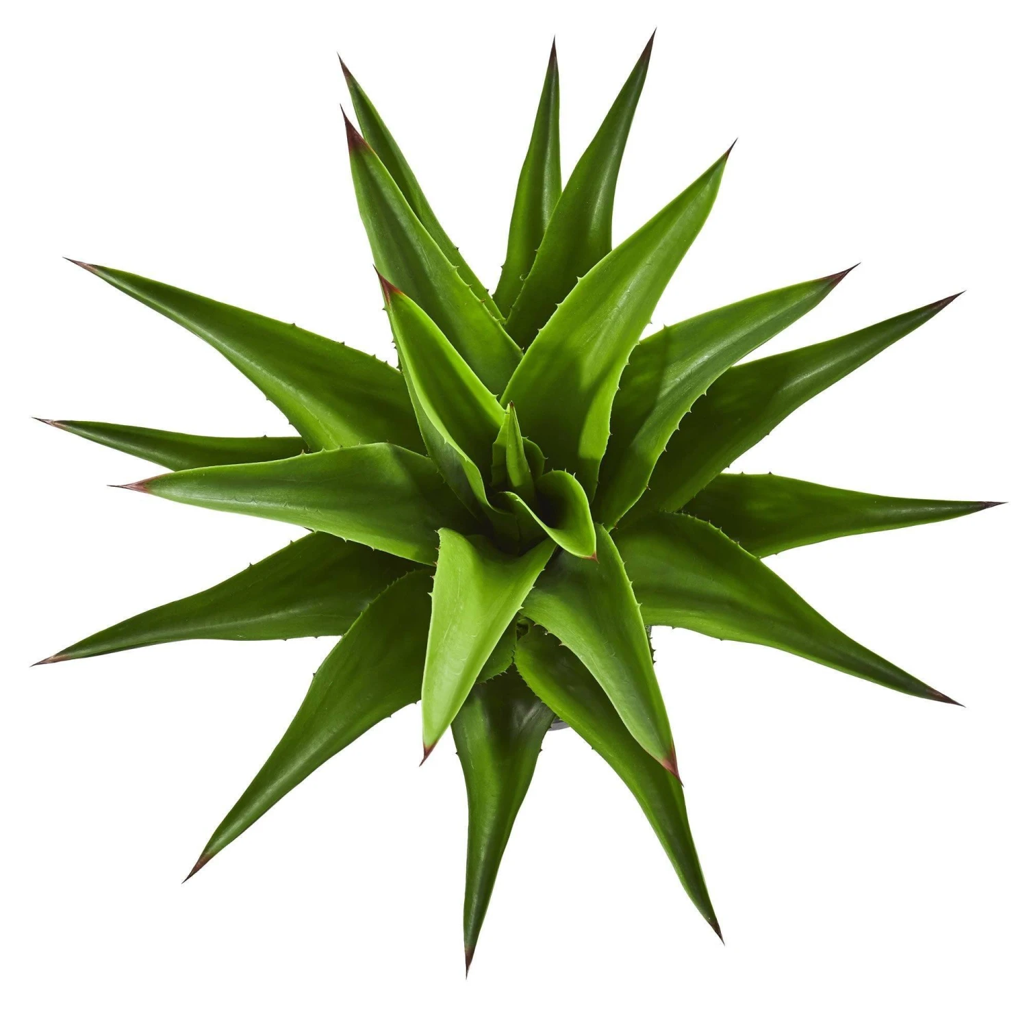 30” Agave Artificial Plant 4 30” Agave Artificial Plant - Image 2