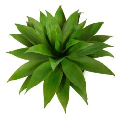 30” Agave Succulent Artificial Plant In White Planter With Metal Stand -Artificial Flowers Sale artificial 30 agave succulent artificial plant in white planter with metal stand nearly natural 529208