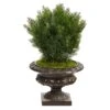 30” Cedar Artificial Tree In Iron Colored Urn (Indoor/Outdoor) 1 30” Cedar Artificial Tree In Iron Colored Urn (Indoor/Outdoor) -Artificial Flowers Sale artificial 30 cedar artificial tree in iron colored urn indooroutdoor nearly natural 788088