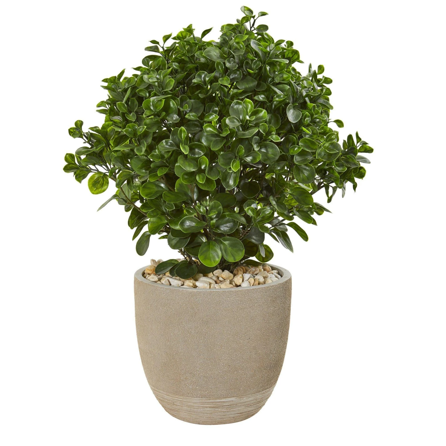 30” Peperomia Artificial Plant In Sand Stone Planter (Indoor/Outdoor) 3 30” Peperomia Artificial Plant In Sand Stone Planter (Indoor/Outdoor)