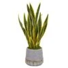 30” Sansevieria Artificial Plant In Stoneware Planter 2 30” Sansevieria Artificial Plant In Stoneware Planter -Artificial Flowers Sale artificial 30 sansevieria artificial plant in stoneware planter nearly natural 590729