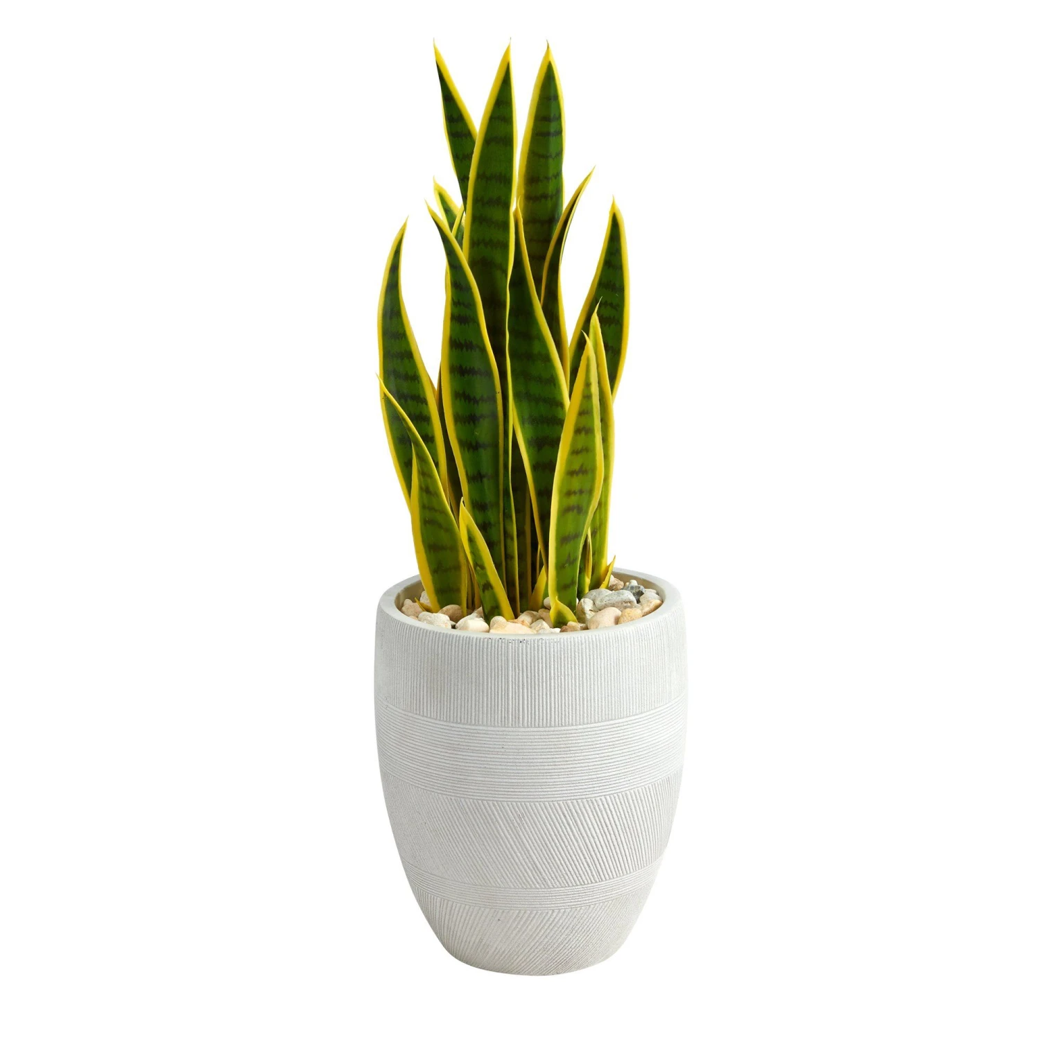 30” Sansevieria Artificial Plant In White Planter 3 30” Sansevieria Artificial Plant In White Planter