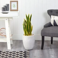 30” Sansevieria Artificial Plant In White Planter 8 30” Sansevieria Artificial Plant In White Planter -Artificial Flowers Sale artificial 30 sansevieria artificial plant in white planter nearly natural 664010