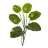32” Large Leaf Pothos Artificial Vinning Plant (Set Of 6) 1 32” Large Leaf Pothos Artificial Vinning Plant (Set Of 6) -Artificial Flowers Sale artificial 32 large leaf pothos artificial vinning plant set of 6 nearly natural 385330