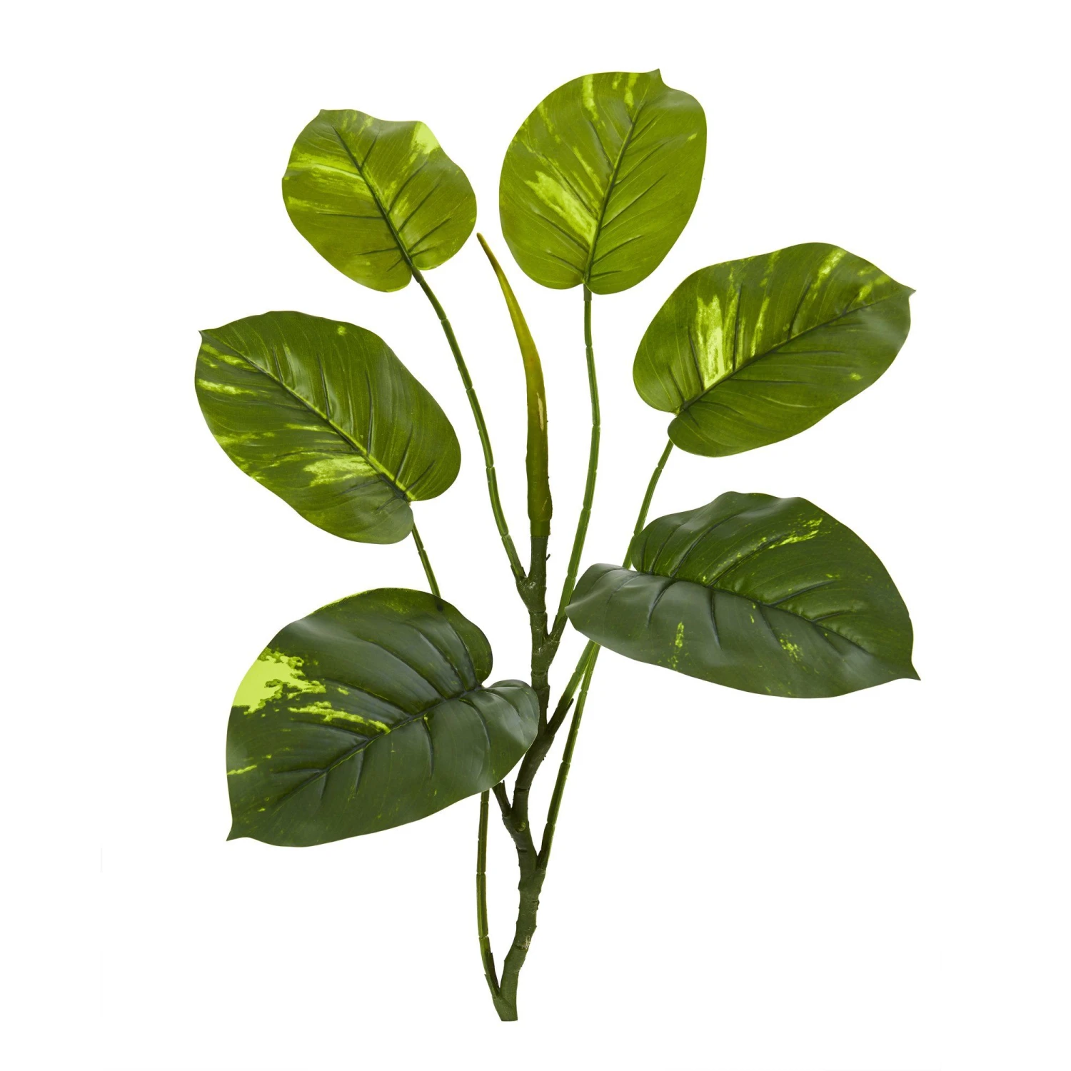 32” Large Leaf Pothos Artificial Vinning Plant (Set Of 6) 3 32” Large Leaf Pothos Artificial Vinning Plant (Set Of 6)