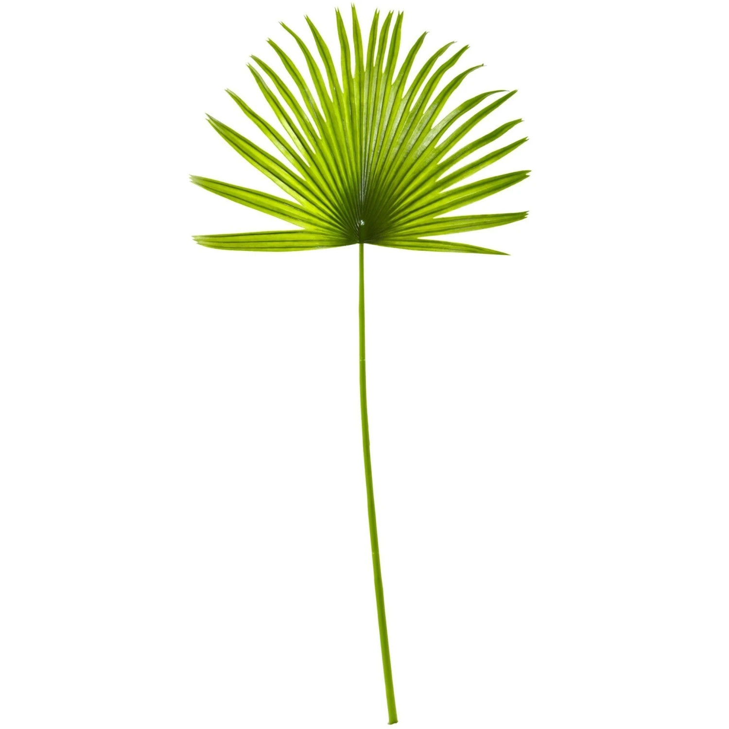 33’’ Fan Palm Artificial Spray Plant (Set Of 6) 3 33’’ Fan Palm Artificial Spray Plant (Set Of 6)