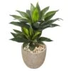 34” Double Agave Succulent Artificial Plant In Sand Stone Planter 1 34” Double Agave Succulent Artificial Plant In Sand Stone Planter -Artificial Flowers Sale artificial 34 double agave succulent artificial plant in sand stone planter nearly natural 155342