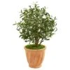 34” Olive Artificial Tree In Terra Cotta Planter 1 34” Olive Artificial Tree In Terra Cotta Planter -Artificial Flowers Sale artificial 34 olive artificial tree in terra cotta planter nearly natural 679757