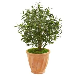 34” Olive Artificial Tree In Terra Cotta Planter