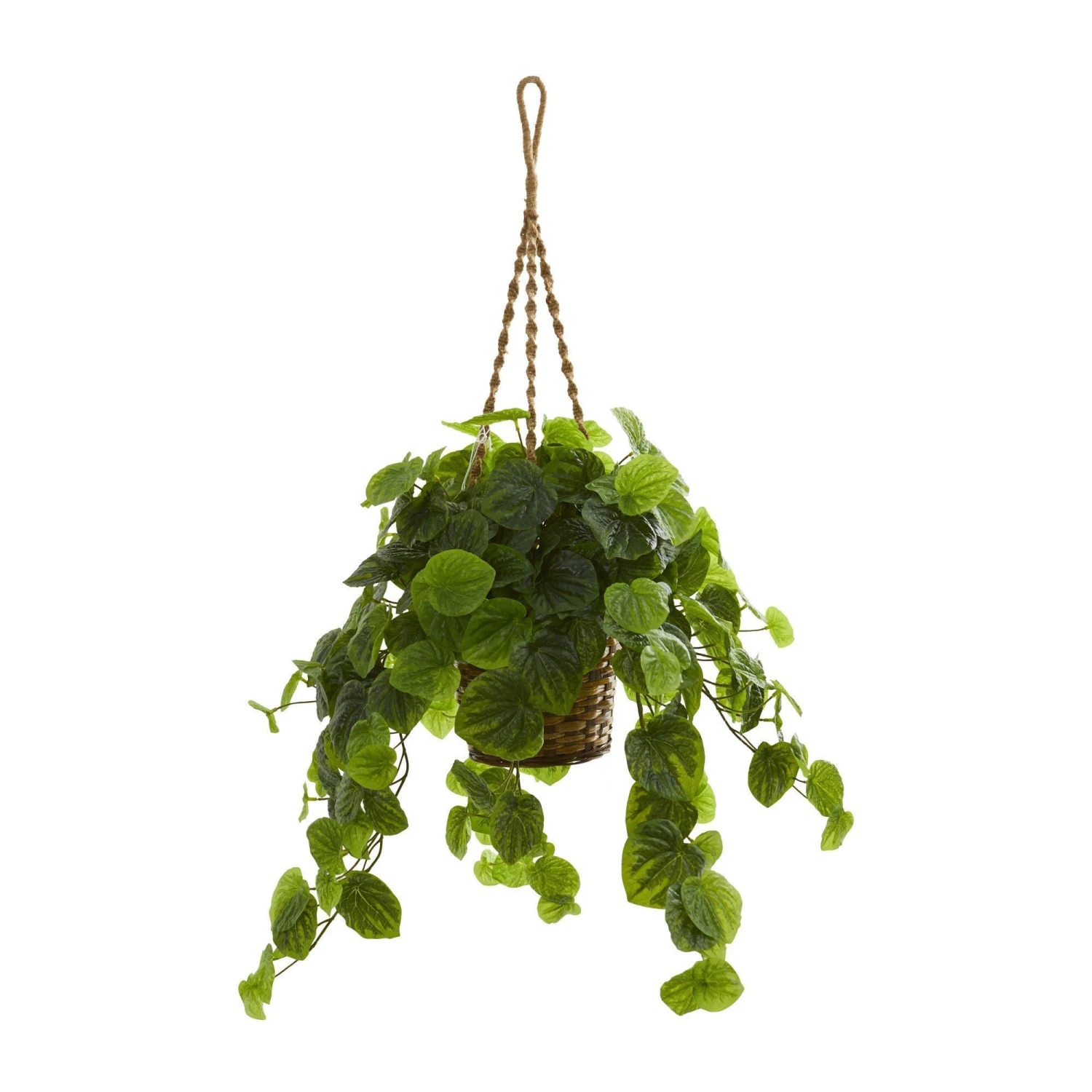 34” Peperomia Artificial Plant In Hanging Basket (Real Touch) 4 34” Peperomia Artificial Plant In Hanging Basket (Real Touch) - Image 2