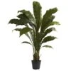 3.5’ Birdsnest Plant -Artificial Flowers Sale artificial 35 birdsnest plant nearly natural 533490