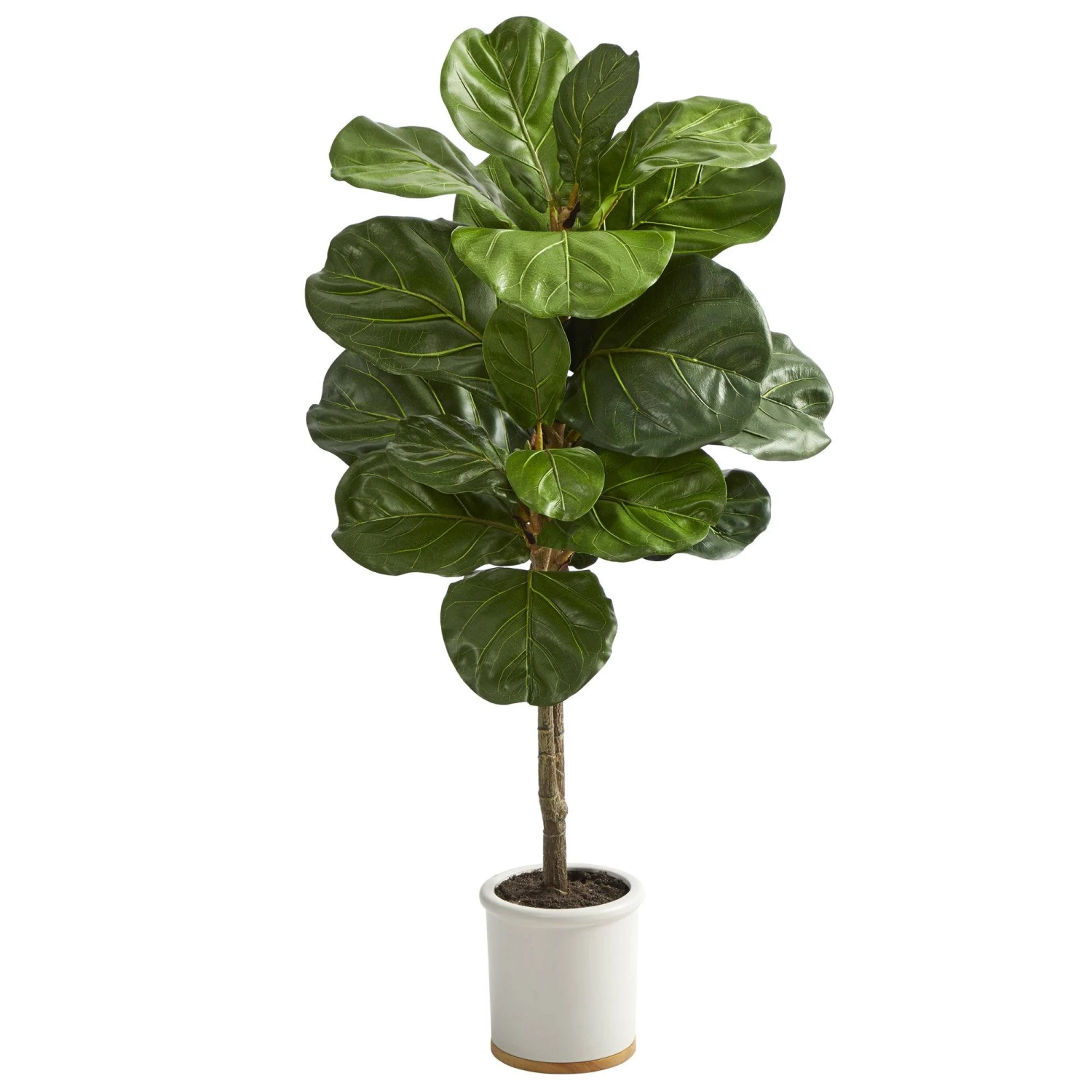 3.5’ Fiddle Leaf Artificial Tree In White Ceramic Planter 3 3.5’ Fiddle Leaf Artificial Tree In White Ceramic Planter