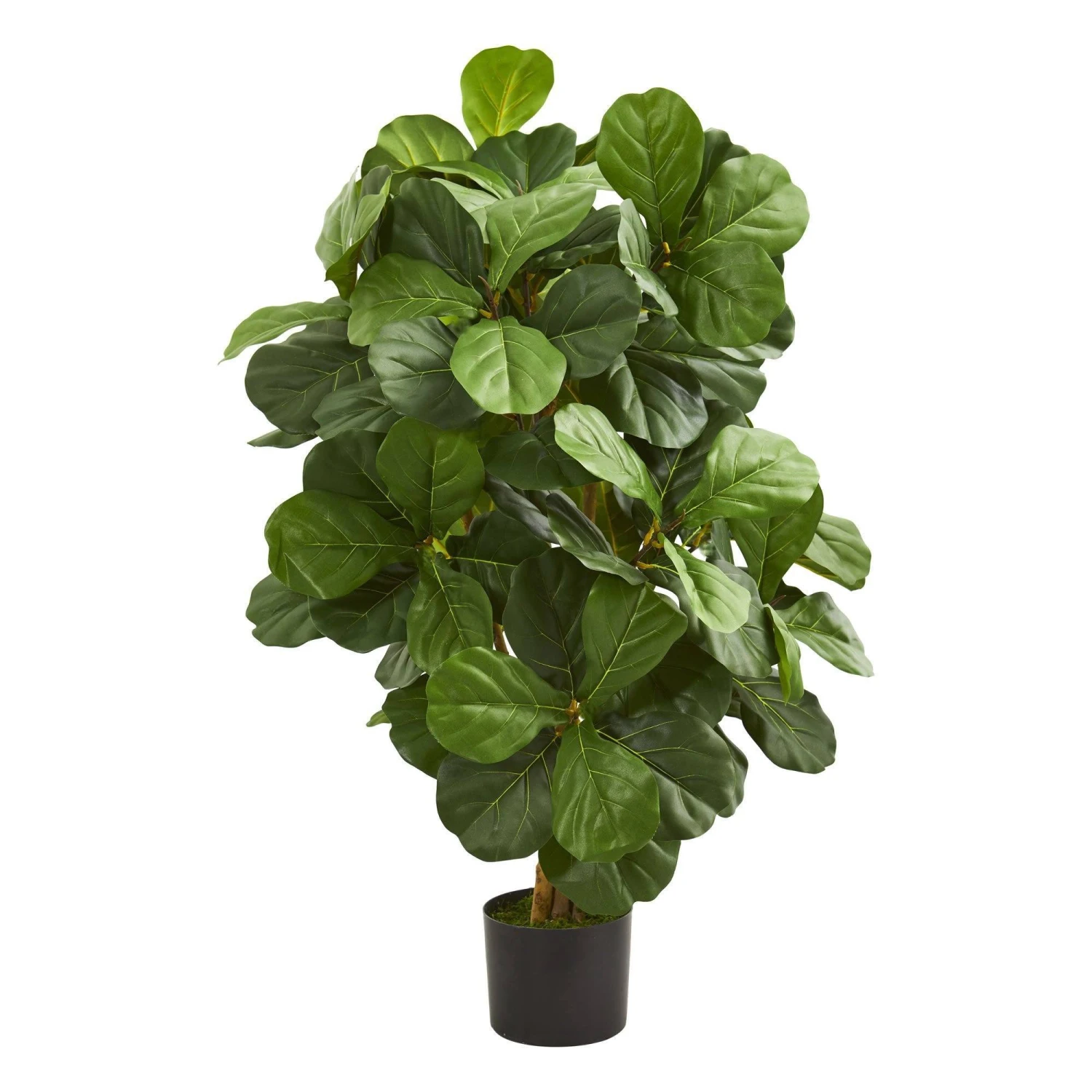 3.5’ Fiddle Leaf Artificial Tree 3 3.5’ Fiddle Leaf Artificial Tree