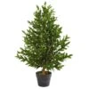 35” Olive Cone Topiary Artificial Tree UV Resistant (Indoor/Outdoor) 2 35” Olive Cone Topiary Artificial Tree UV Resistant (Indoor/Outdoor) -Artificial Flowers Sale artificial 35 olive cone topiary artificial tree uv resistant indooroutdoor nearly natural 964661
